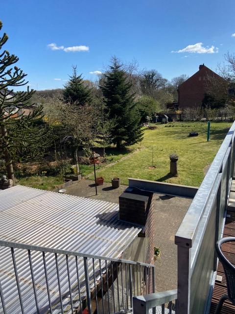 Blick in den Garten